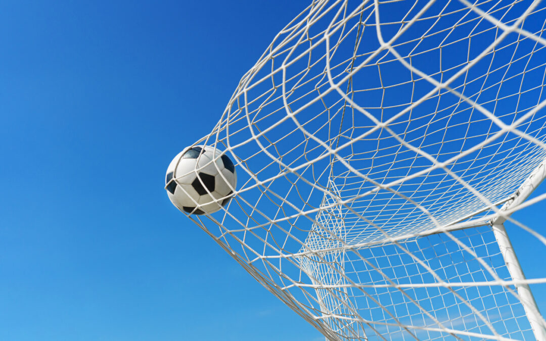 Tout ce que vous devez savoir avant d’acheter un filet de sport