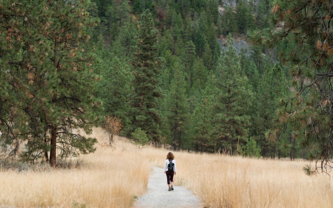 Chemin de randonnée