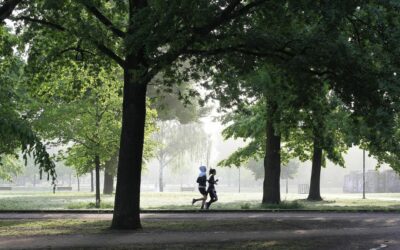 La récupération active et passive : les clés de la performance et du plaisir sportif
